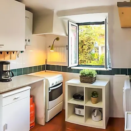 Beautiful Cozy Flat In Flowers Garden! Lisboa
